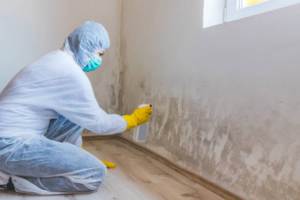 Best Air Quality Testing for Mold Spores  in Blossburg, PA