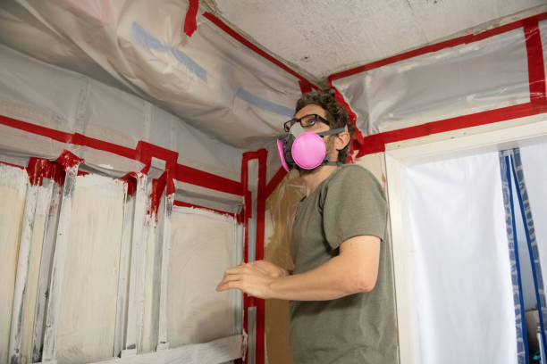 Best Crawl Space Mold Remediation  in Blossburg, PA