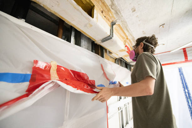 Best Mold Damage Restoration  in Blossburg, PA