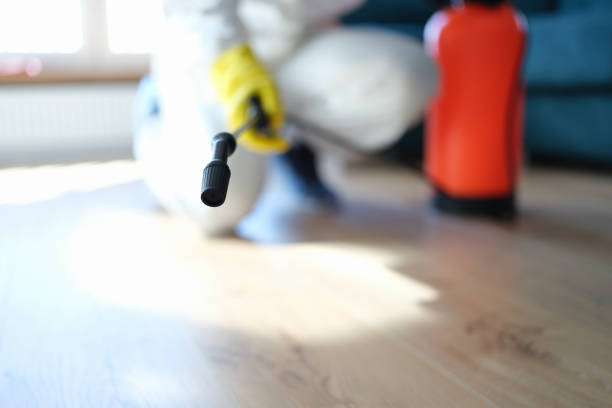 Best Basement Mold Removal  in Blossburg, PA