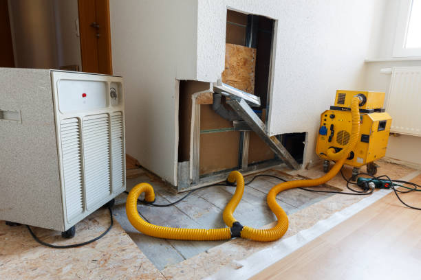 Best Water Damage & Mold Remediation  in Blossburg, PA